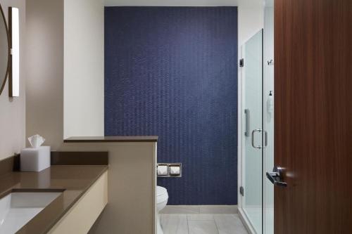 米德尔敦Fairfield by Marriott Inn & Suites Middletown的一间带卫生间和蓝色墙壁的浴室