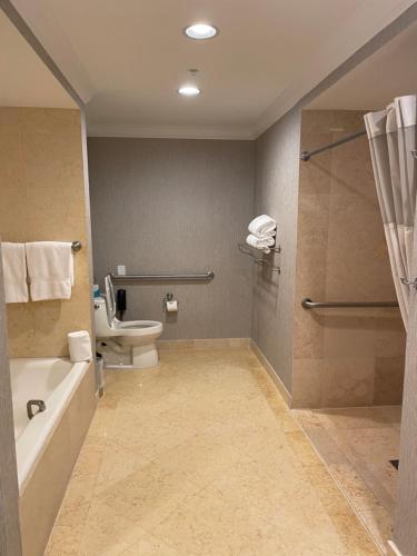 劳德代尔堡The Atlantic Hotel & Spa Condo的浴室配有卫生间、盥洗盆和淋浴。