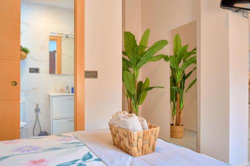 格拉纳达Casa Vestali的桌上的一篮子,浴室里放着植物