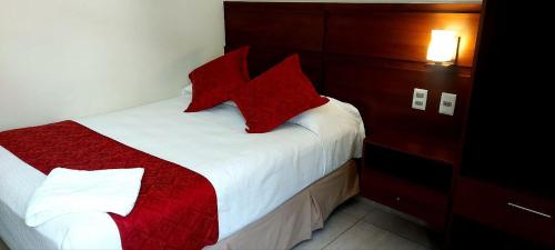 塔里哈Hotel Las Pascuas的一间卧室配有一张带红色枕头的床