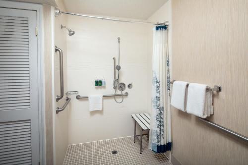 维斯塔宾厄姆顿原住客栈的浴室配有淋浴和带毛巾的卫生间。