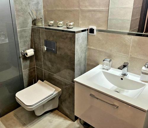 厄尔科SOSNOWA Apartament的一间带卫生间和水槽的浴室