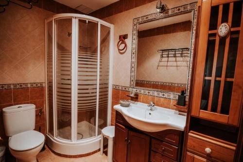 特鲁希略Conde de la Encina 16的带淋浴、卫生间和盥洗盆的浴室
