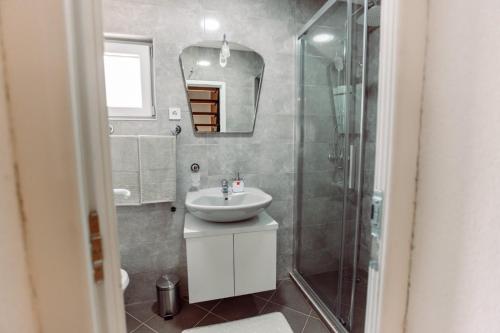 采蒂涅Aria的一间带水槽和淋浴的浴室