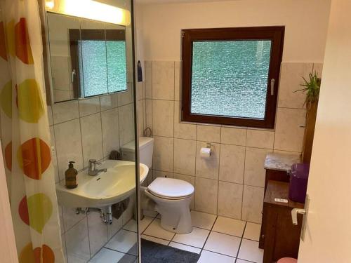 梅舍德Wohnung in idyllischem Örtchen的一间带卫生间、水槽和窗户的浴室