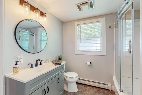 GrayBig Birch的一间带水槽、卫生间和镜子的浴室