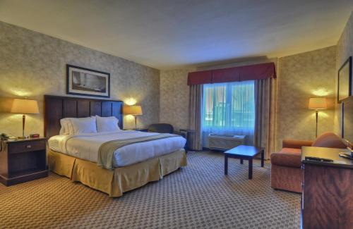 丘拉维斯塔圣迭戈南丘拉维斯塔智选假日酒店的配有一张床和一把椅子的酒店客房