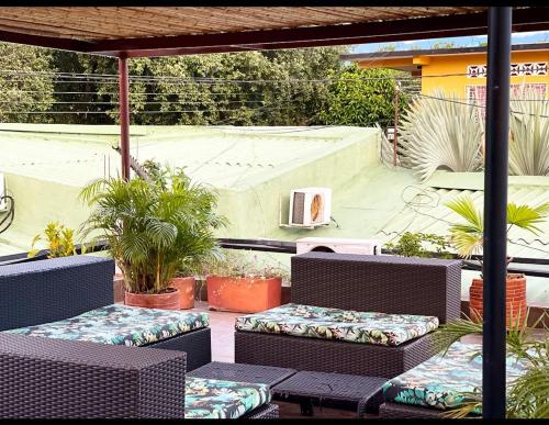 内瓦Hotel Madrid Deluxe Neiva的庭院设有藤椅和盆栽植物