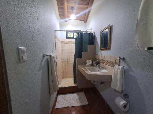 诺萨拉Casa Rosada Nosara的一间带水槽和淋浴的浴室
