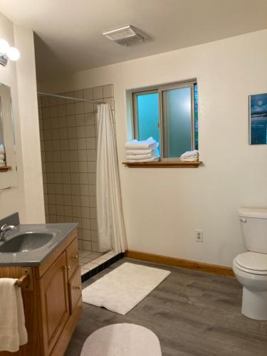 海恩斯罗德之家海滩山林小屋的一间带水槽、淋浴和卫生间的浴室