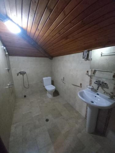 梅尔尼克Хотел Макензен的浴室配有水槽、卫生间和灯具。
