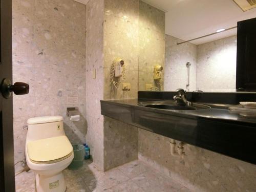 新竹荷米斯饭店 的一间带卫生间和水槽的浴室