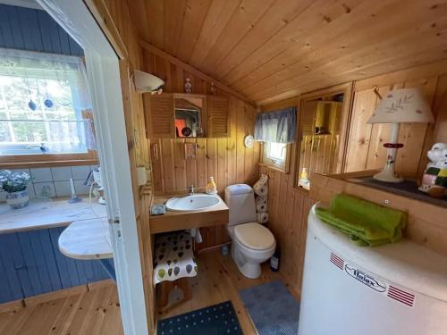 莫尔德Sjarmerende hytte omgitt av vakker natur的一间带卫生间和水槽的小浴室