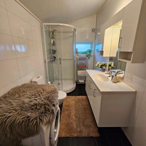 KvamBjørnebu- Ski in-ski out的带淋浴、卫生间和盥洗盆的浴室