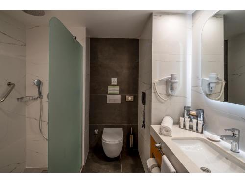 凯麦尔Swandor Hotels & Resorts - Kemer的一间带卫生间、水槽和镜子的浴室