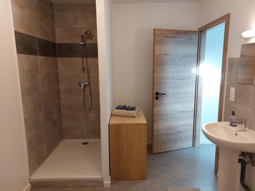 Corny-sur-MoselleStudio mezzanine tout confort的带淋浴和盥洗盆的浴室