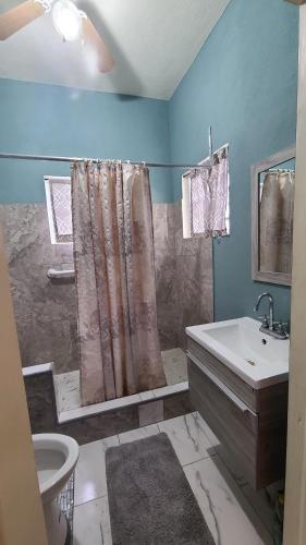 FrenchtownHome Away!的浴室配有淋浴帘和盥洗盆。