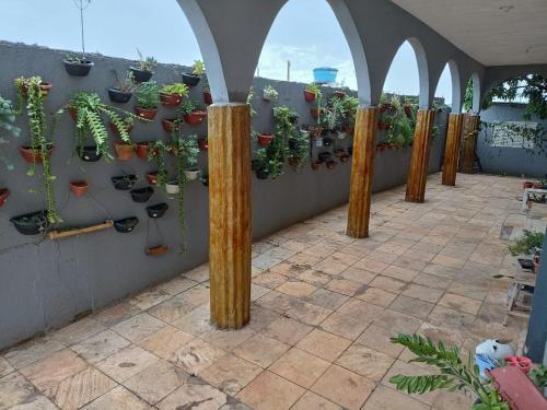 帕苏斯Chacara Tropicalia的墙上一排盆栽植物