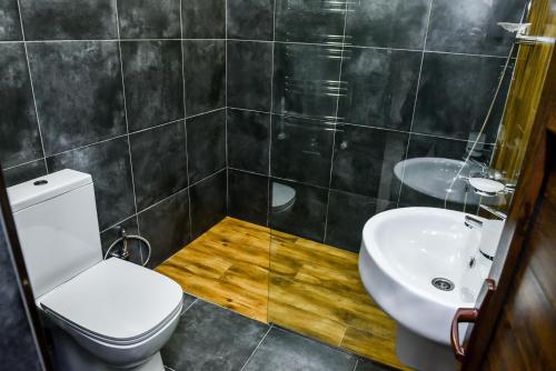 迪利然Maestro Rest House Dilijan的一间带卫生间和水槽的浴室