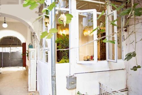 第比利斯Angels Roof Vera - boutique apartment. Wine Factory的一座带窗户和植物的建筑的入口