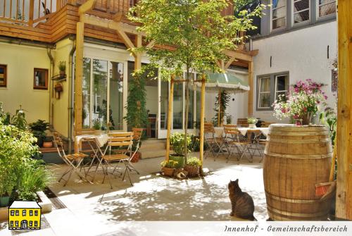 弗伦斯堡Das Gelbe Haus - Drei besondere Ferienwohnungen的一只猫坐在一桶房子前面