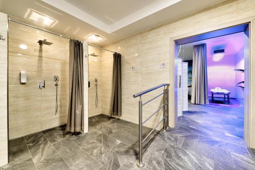 MedzilaborceTypton hotel&spa的带淋浴和步入式淋浴间的浴室