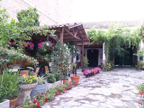阿特佛阿塔费皇冠酒店的一座花园,里面种有盆栽植物和花卉