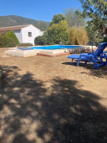 阿尔戈多纳莱斯Cortijo Burruelo的两把蓝色椅子坐在游泳池旁