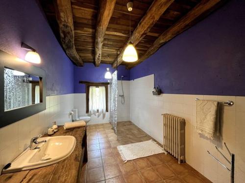 AiaCasa Rural Gaztandizabal的一间带水槽和紫色墙壁的浴室
