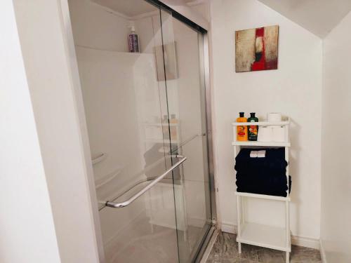 蒙克顿Private Basement Suite in Central Moncton的浴室里设有玻璃门淋浴