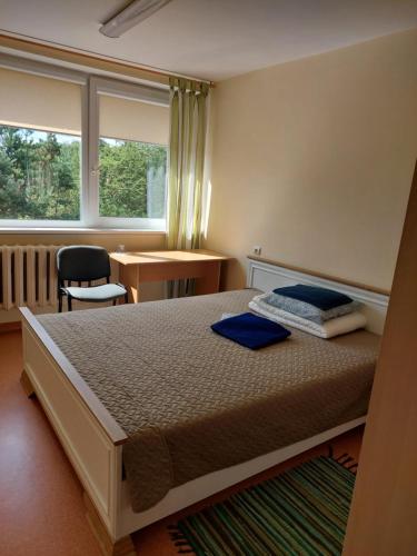 RietavasVšĮ Veiklus Rietavas apgyvendinimas的一间卧室配有一张床、一张书桌和一个窗户。