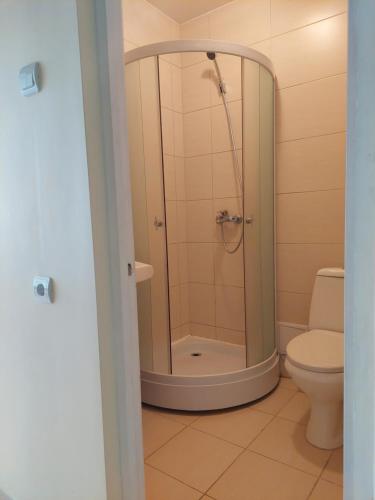 RietavasVšĮ Veiklus Rietavas apgyvendinimas的带淋浴和卫生间的浴室