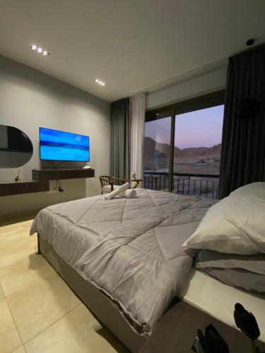 亚喀巴aladnan apartment alraha village的一间卧室设有一张大床和一个大窗户