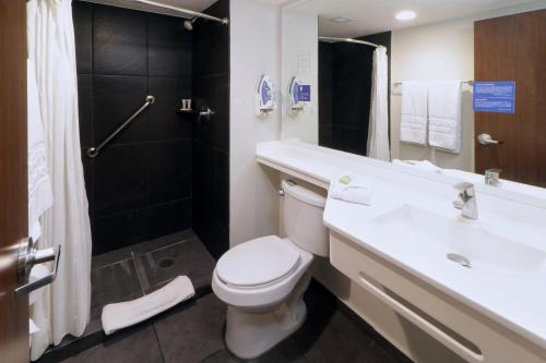 维多利亚城维多利亚城城市快捷酒店的浴室配有卫生间、盥洗盆和淋浴。