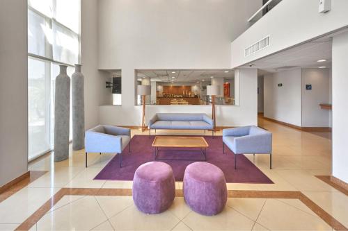 塞拉亚塞拉亚公园城市快捷酒店的客厅配有紫色椅子和桌子