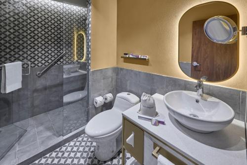 圣路易斯波托西City Centro by Marriott San Luis Potosi的一间带水槽、卫生间和镜子的浴室