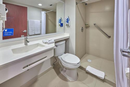 阿瓜斯卡连特斯阿瓜斯卡连特斯苏尔城市快捷酒店的一间带卫生间、水槽和镜子的浴室