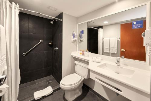 坦皮科坦皮科城市快捷酒店的浴室配有卫生间、盥洗盆和淋浴。