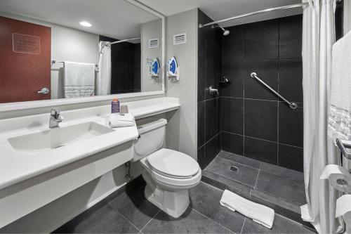 圣路易斯波托西圣路易斯波多西大学区城市快捷酒店的一间带水槽、卫生间和淋浴的浴室