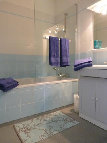 Salles-la-SourceLa Désirade的带浴缸、水槽和紫色毛巾的浴室