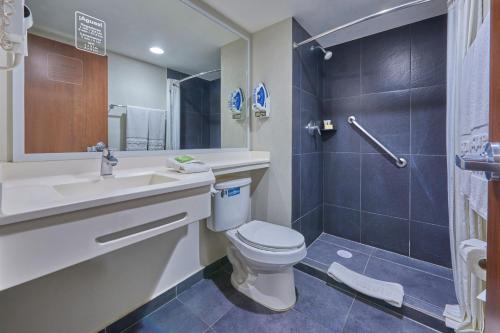 提瓦坎特瓦坎都市快捷酒店的浴室配有卫生间、盥洗盆和淋浴。
