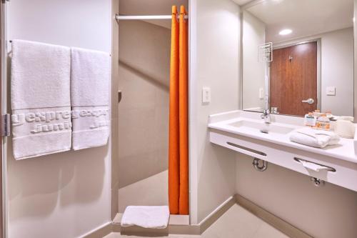 圣路易斯波托西City Express Junior by Marriott San Luis Potosi Carranza的一间带水槽和镜子的浴室