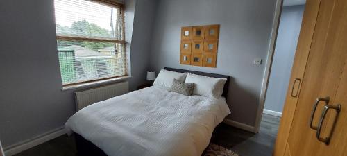 伦敦One Bedroom Flat In Finchley Road的一间卧室配有一张带白色床单的床和一扇窗户。