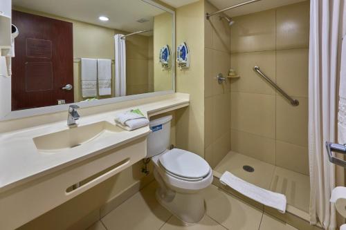 坎佩切坎佩切都市快捷酒店的一间带水槽、卫生间和淋浴的浴室