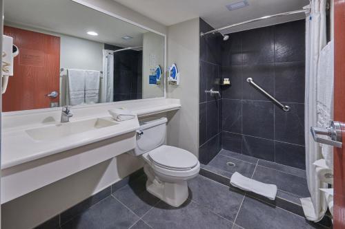伊拉普阿托伊拉普阿托城市快捷酒店的浴室配有卫生间、盥洗盆和淋浴。