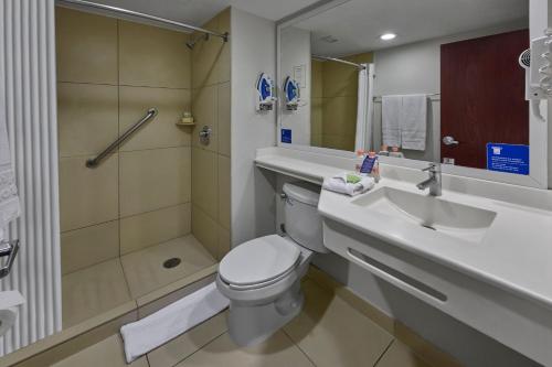 诺加利斯诺加利斯城市快捷酒店的浴室配有卫生间、盥洗盆和淋浴。