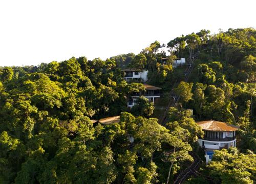 爱妮岛LIHIM RESORTS的森林中房屋的空中景观