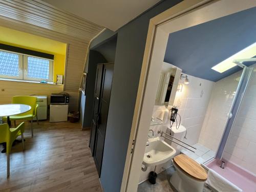 ObermaubachGreen Seeblick Hostel und Apartments am See的一间带水槽和卫生间的浴室