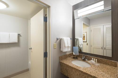 哈灵根哈林根万怡酒店的一间带水槽和镜子的浴室