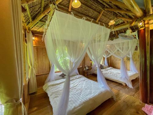 清化Pu Luong - Duy Phuong Homestay的一间卧室配有两张床和蚊帐